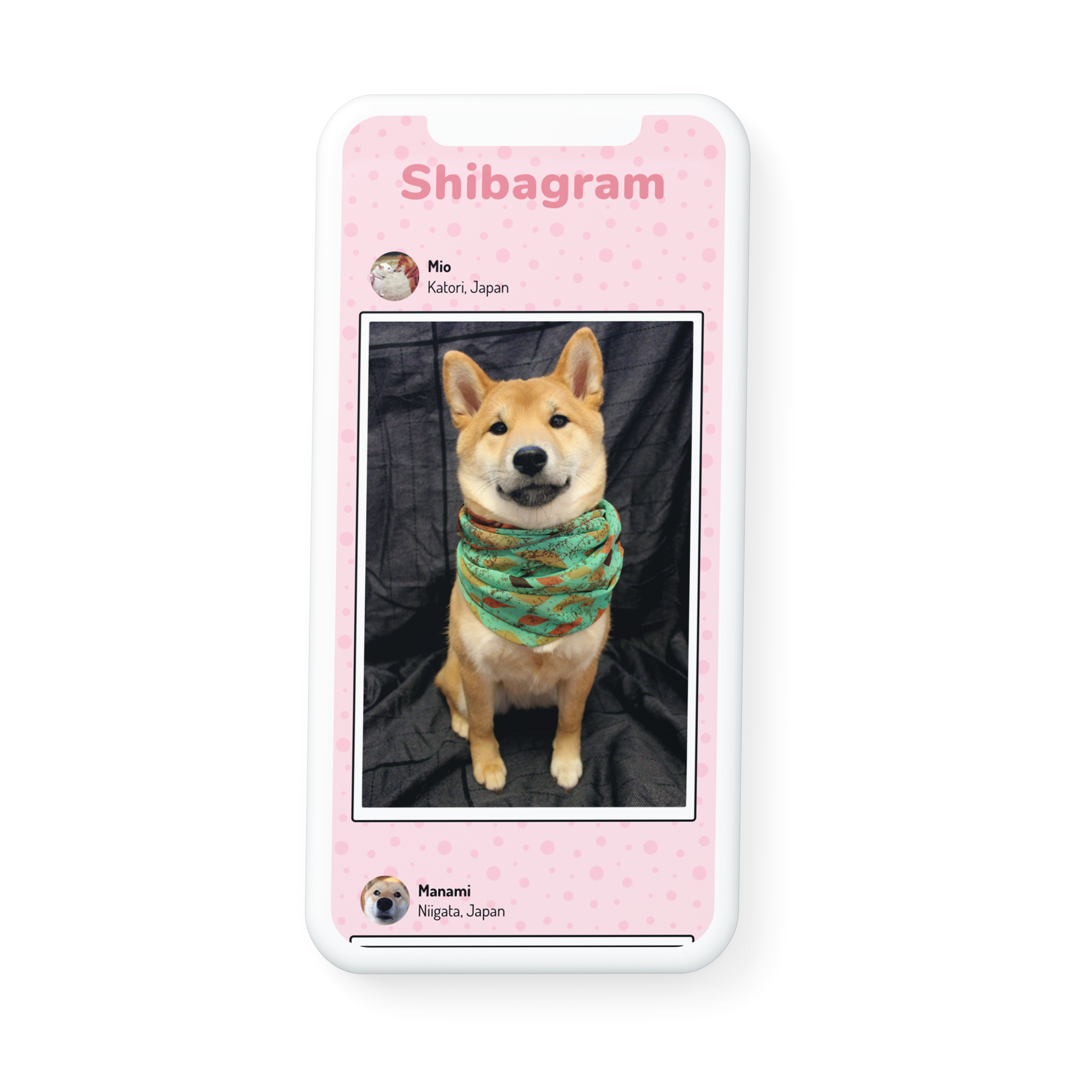 An Instagram alternative for Shiba Inu Lovers